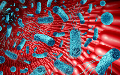 The Key To Your Health – Microbiome